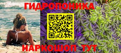 а пвп мука Моздок
