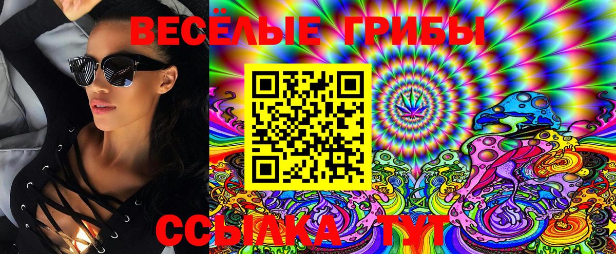 Галлюциногенные грибы ЛСД  Галлюциногенные грибы Magic Shrooms  Тимашёвск  Вход с VPN 